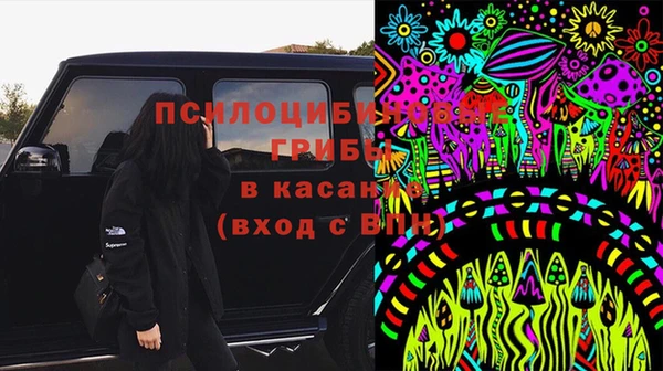 мяу мяу мука Богданович