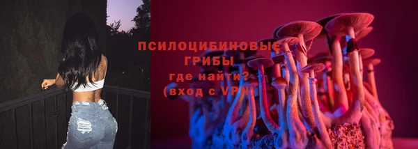 мяу мяу мука Богданович