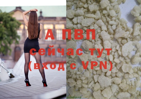 мяу мяу мука Богданович