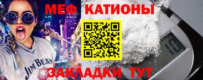 индика Дубна