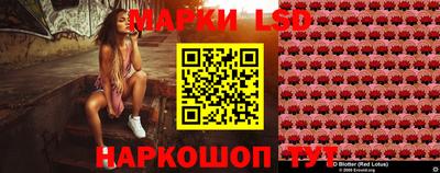 индика Донецк