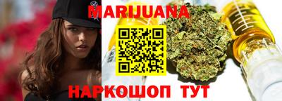 индика Дубна
