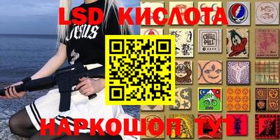 индика Дубна