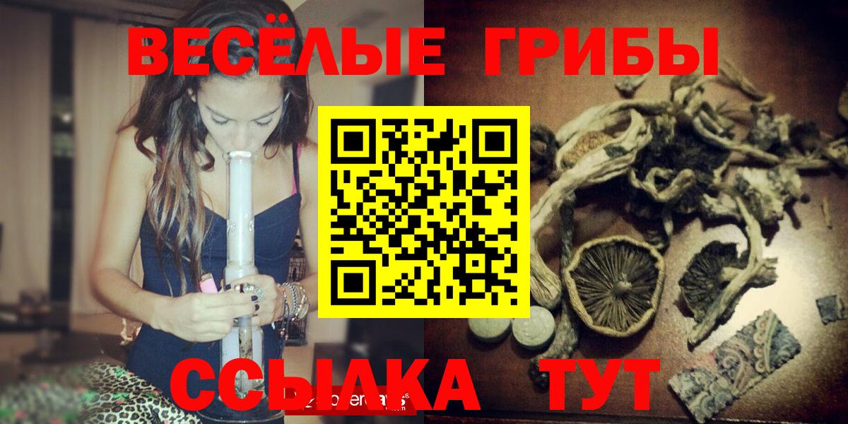 Малоярославец  Псилоцибиновые грибы MAGIC MUSHROOMS  Вход с VPN 