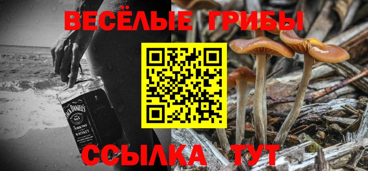 Псилоцибиновые грибы мицелий Малоярославец